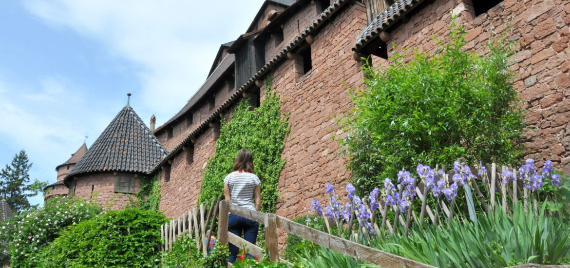 Du Haut-Koenigsbourg à la route des crêtes