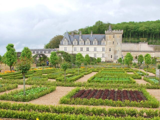Jardins du château de Villandry
