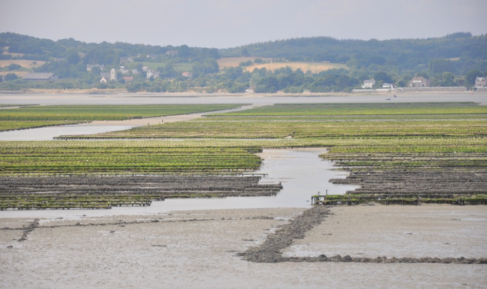 La Marinière en Voyage - parcs à huîtres