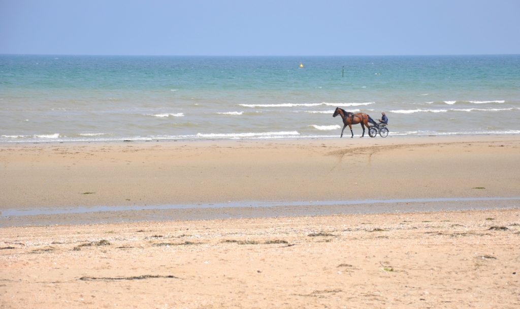 VISIT UTAH BEACH REGION - Plage du Cotentin