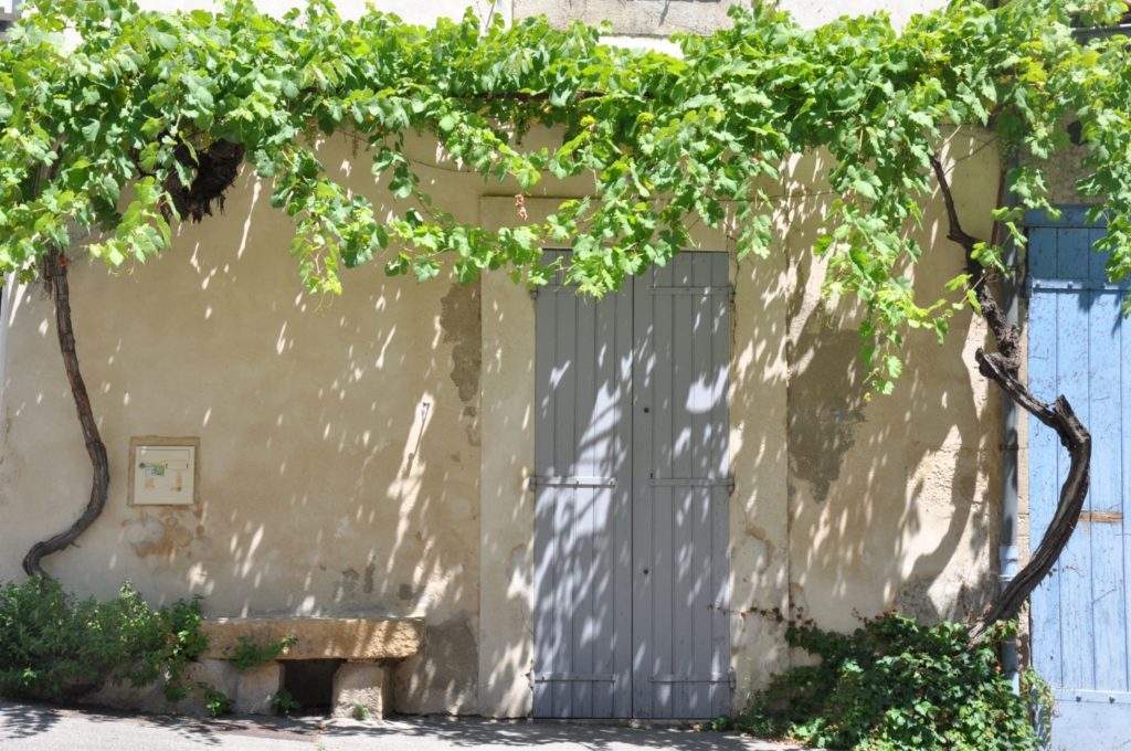 Vignes sur les façades de Lourmarin