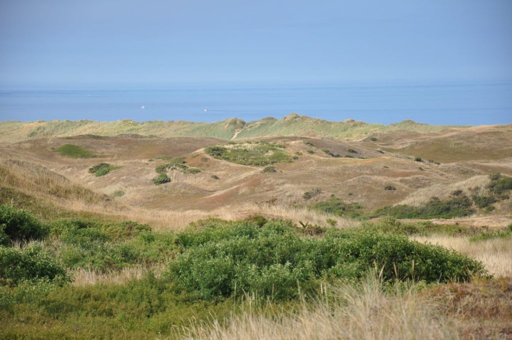 Route des Caps de la Manche - Dunes de Biville