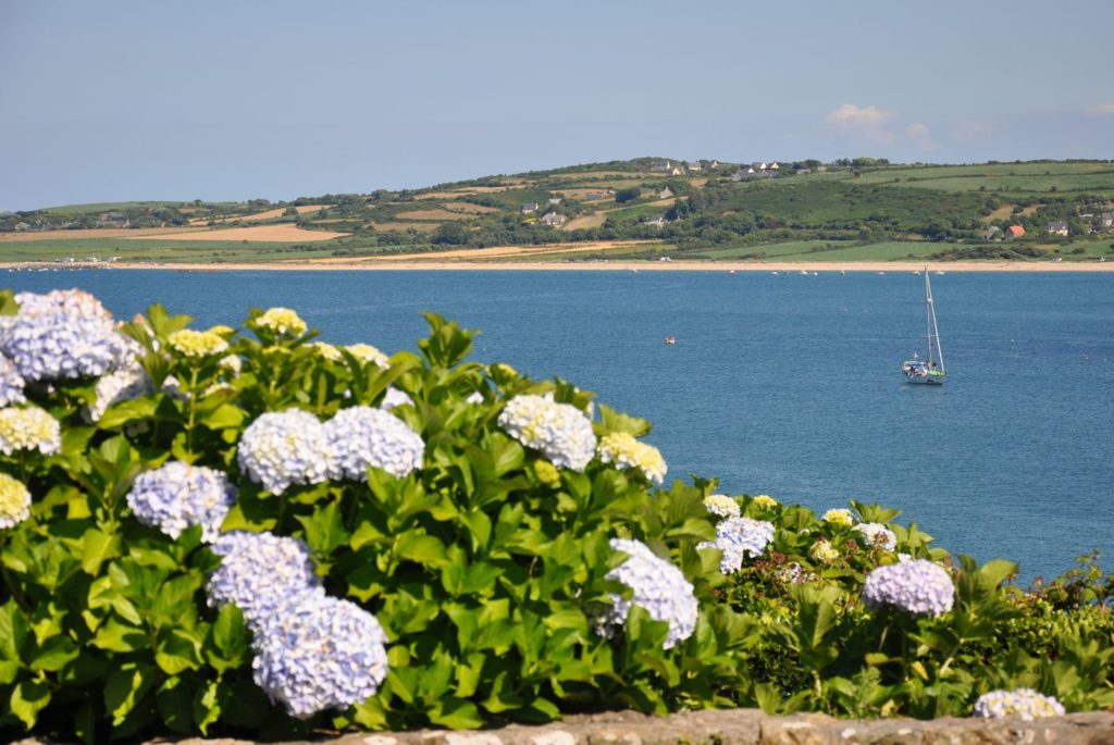 Route des Caps de la Manche - port Racine