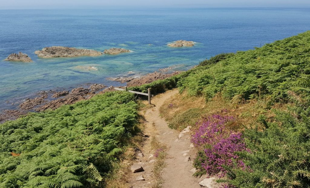 Route des Caps de la Manche - sentier des Douaniers