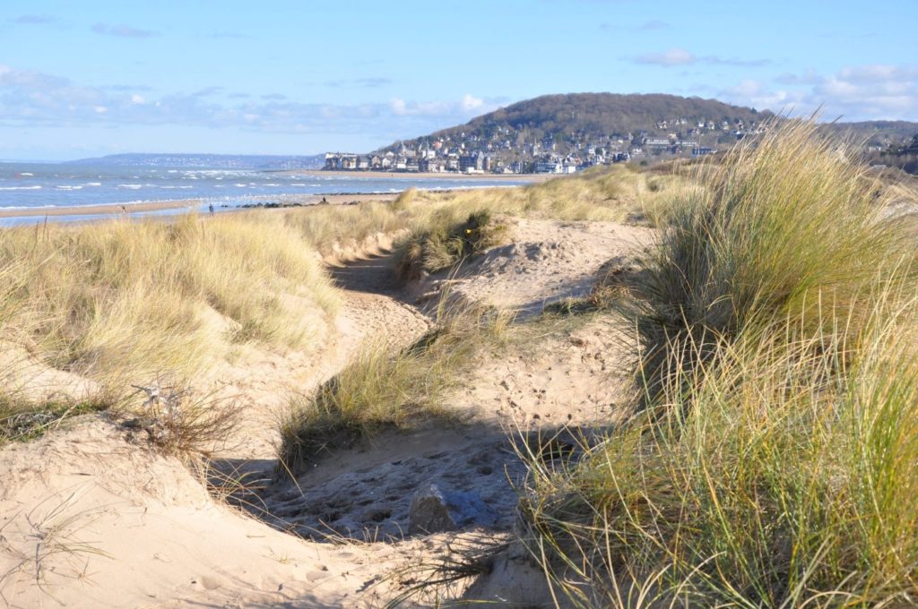 Les Dunes de Cabourg