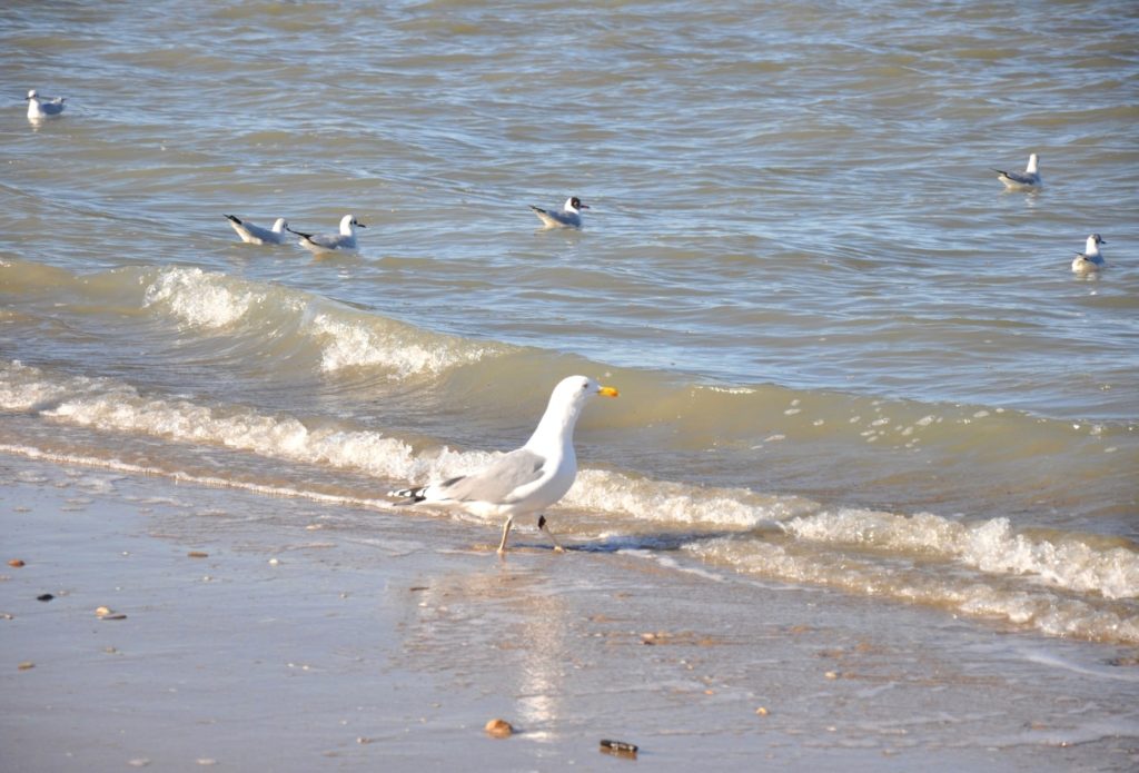 Plage de Cabourg