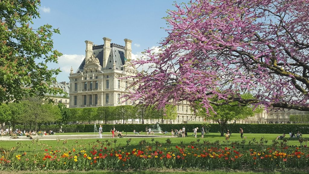 Le jardin des Tuileries au printemps