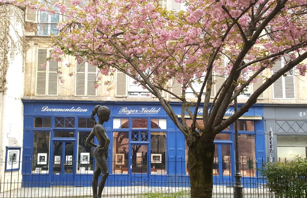 Paris en fleurs au printemps