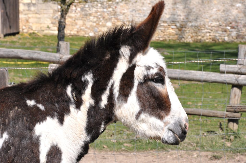 Château de Versailles - Visit Palace of Versailles