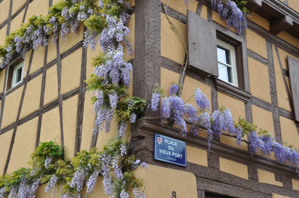 Sélestat - quartier des tanneurs