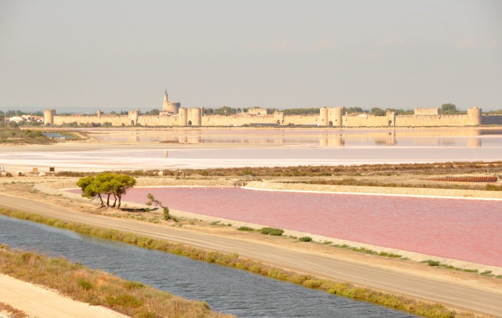 Visiter la Camargue en 2 jours  : vue sur Aigues-Mortess
