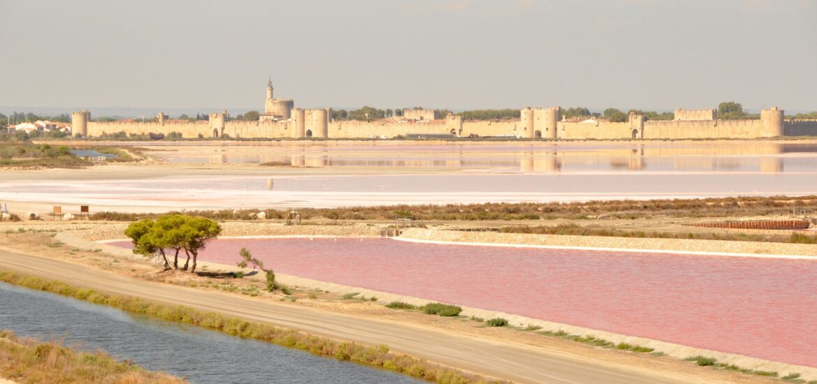 Week-end en Camargue : vue sur Aigues-Mortess