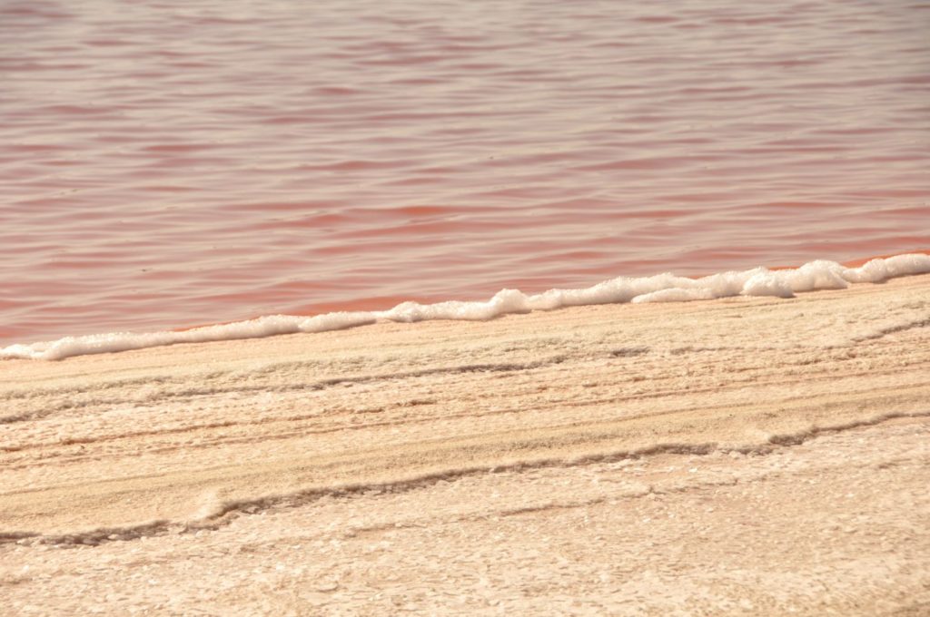 Camargue : salins roses d'Aigues-Mortes