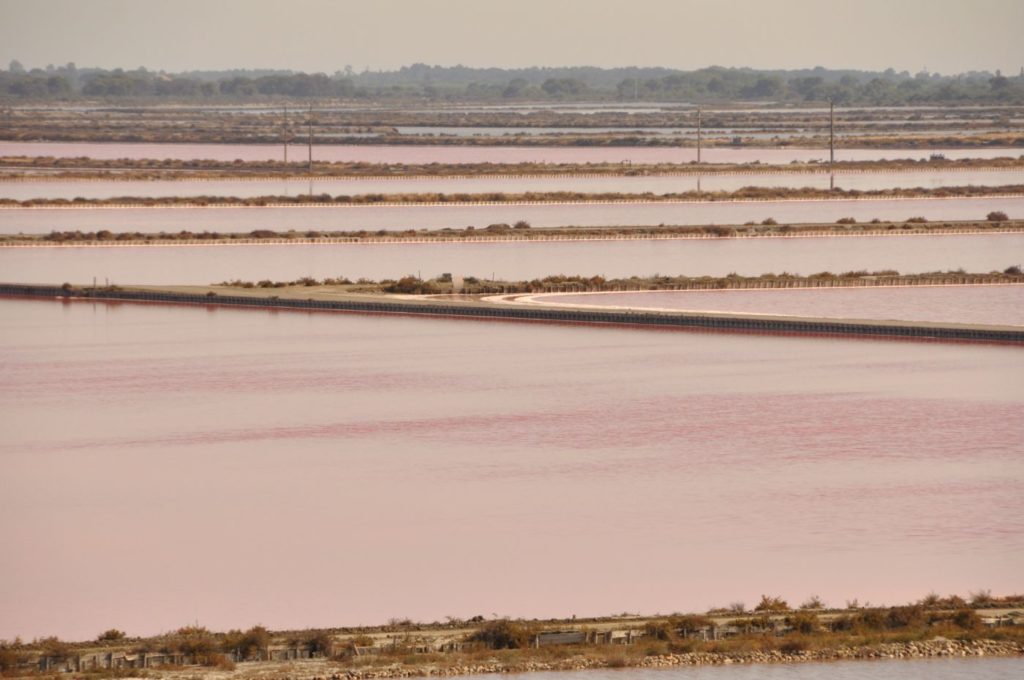 Week-end en Camargue : Aigues Mortes
