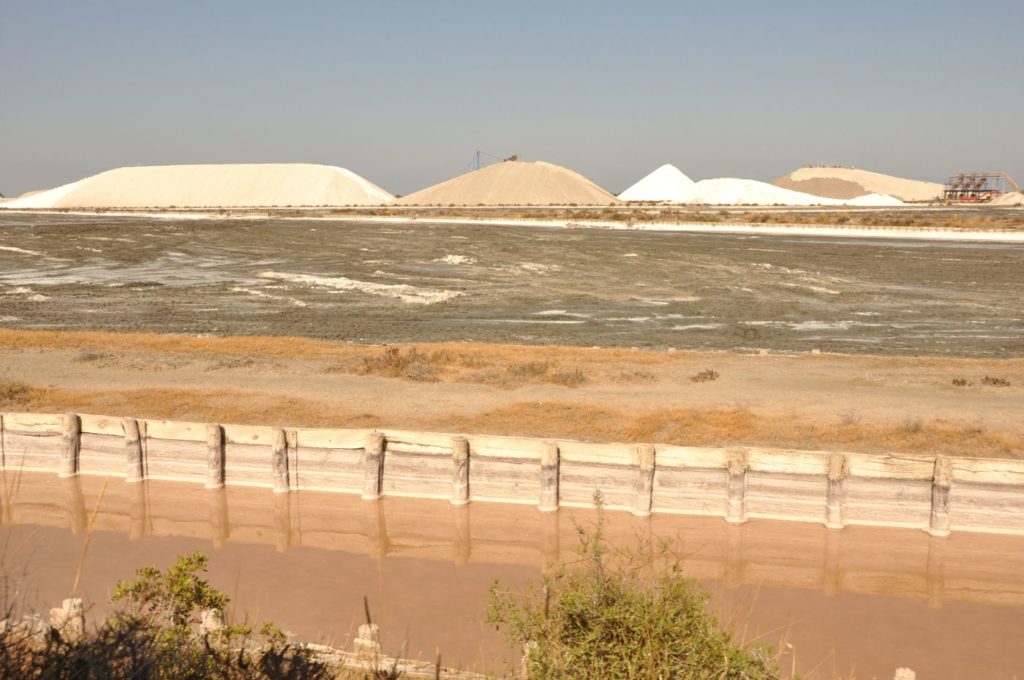 Week-end en Camargue : Aigues Mortes