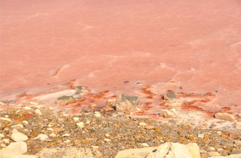 Week-end en Camargue : Aigues Mortes