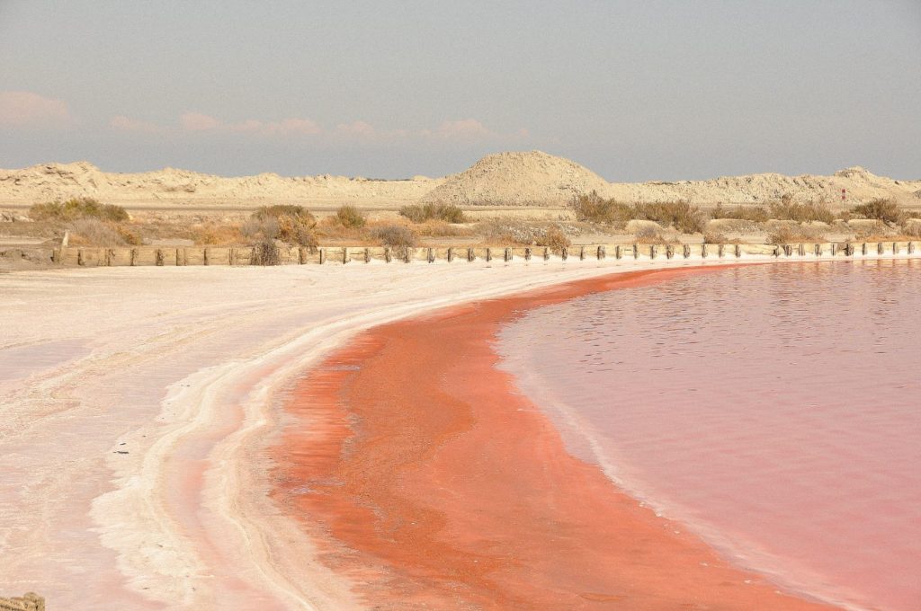 Week-end en Camargue : Aigues Mortes