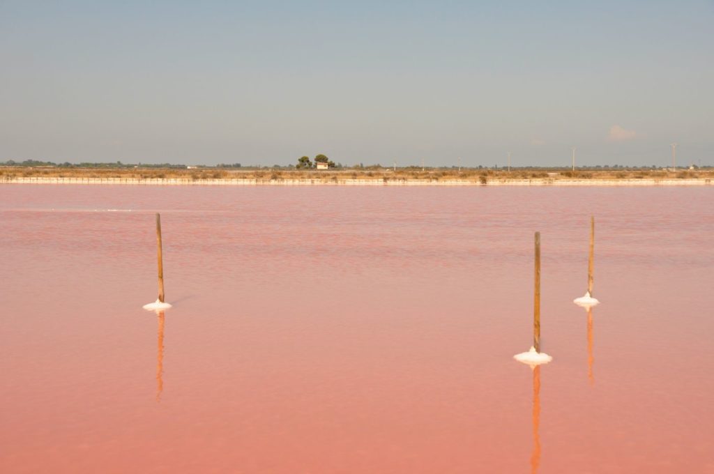 Camargue : salins roses d'Aigues-Mortes