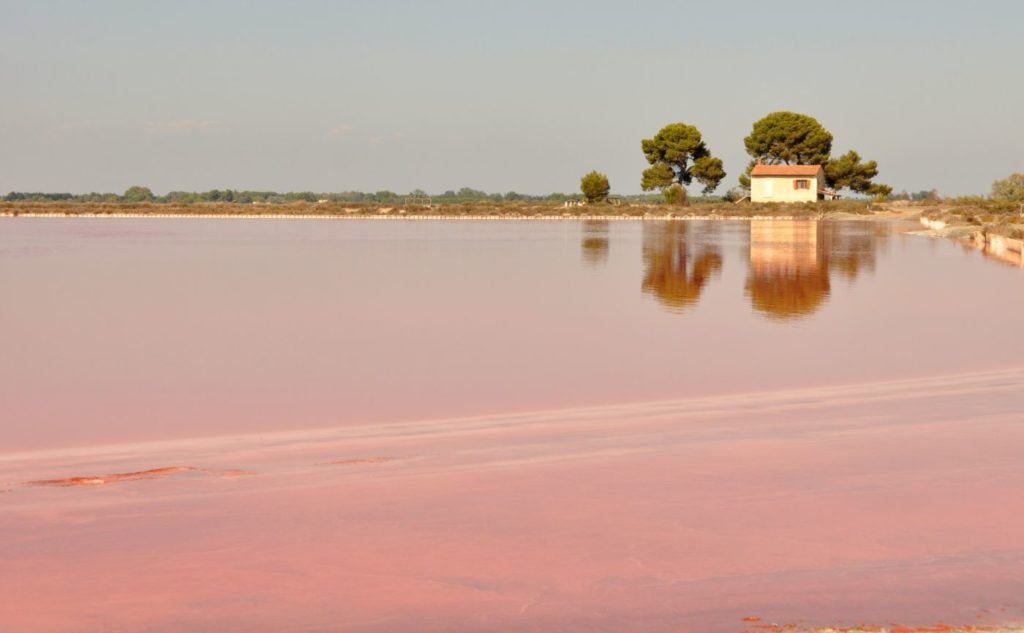 Week-end en Camargue : Aigues Mortes