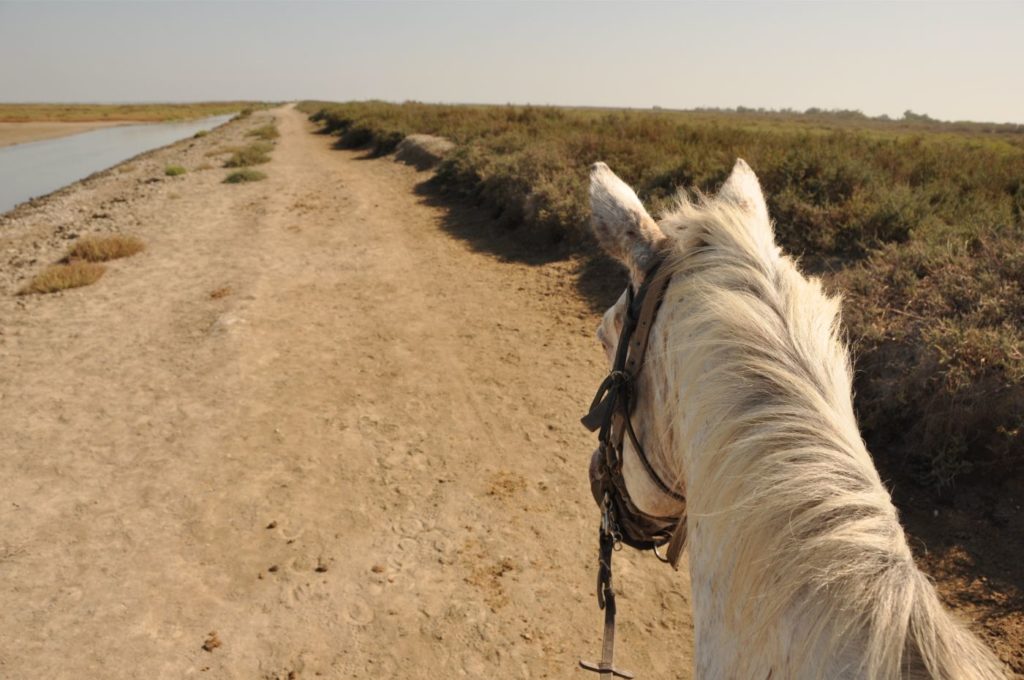 Visiter la Camargue en 2 jours  : balade à cheval aux Saintes-Maries