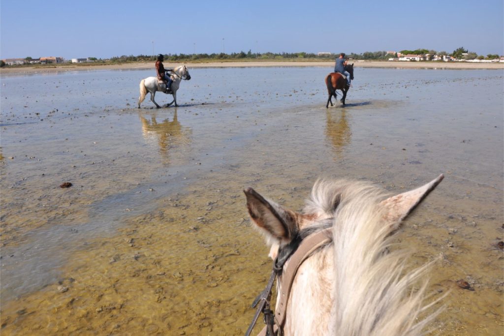 Visiter la Camargue en 2 jours  : balade à cheval aux Saintes-Maries