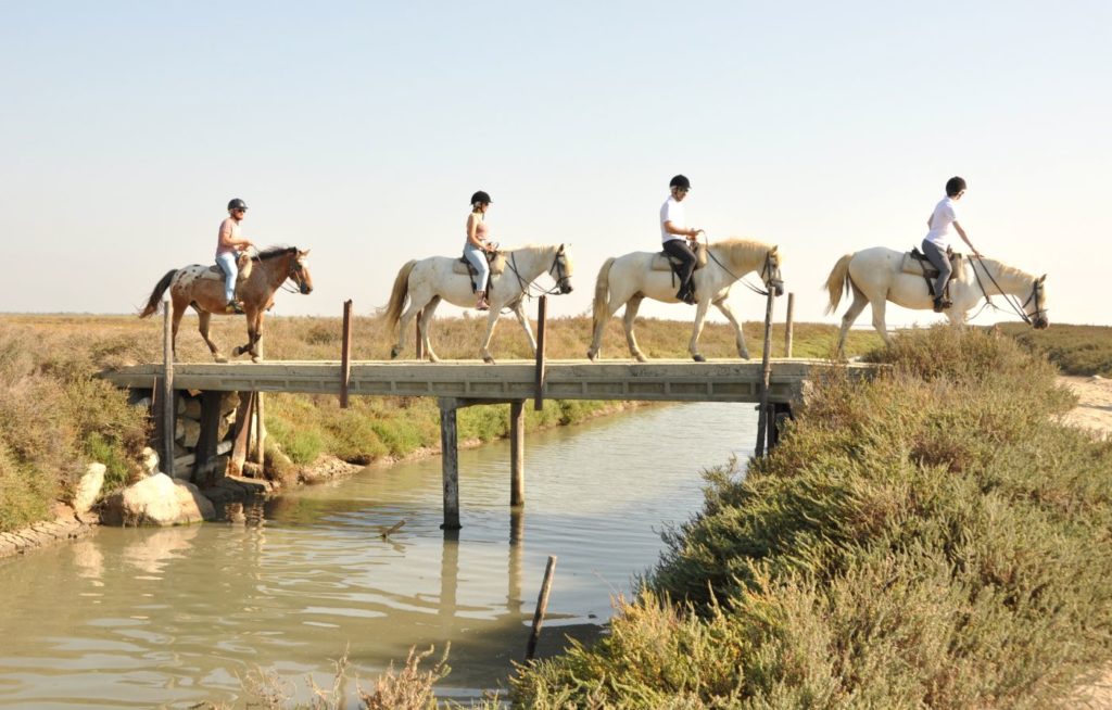 Visiter la Camargue en 2 jours : balade à cheval aux Saintes-Maries