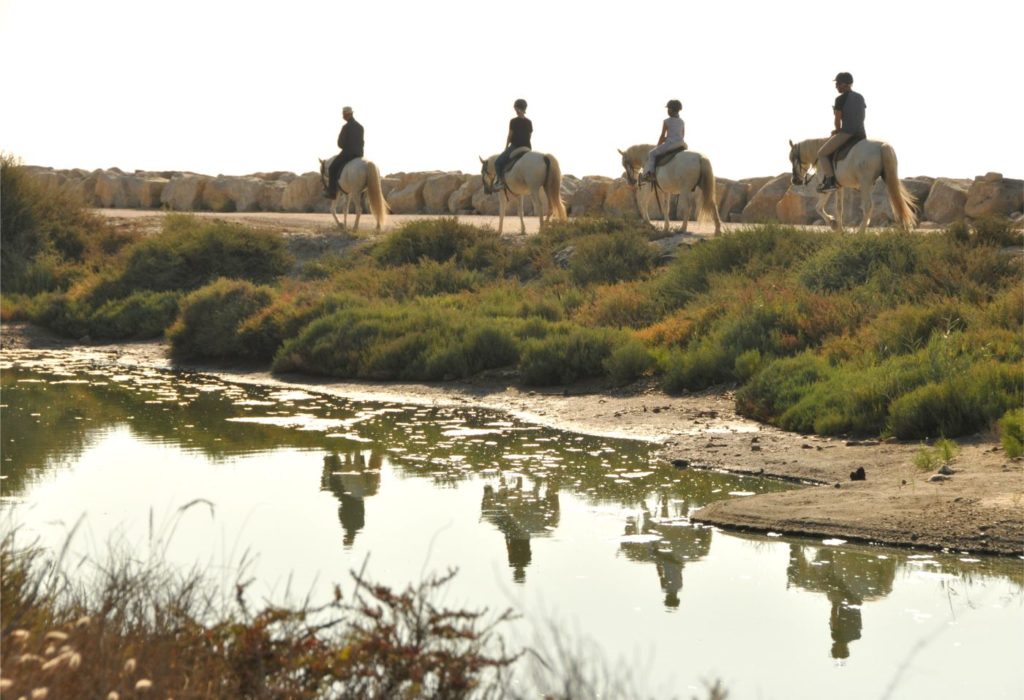 Camargue : balade à cheval aux Saintes-Maries