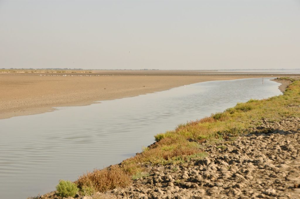 Camargue : Saintes-Maries-de-la-Mer