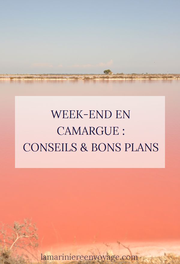Week-end en Camargue : conseils et bons plans