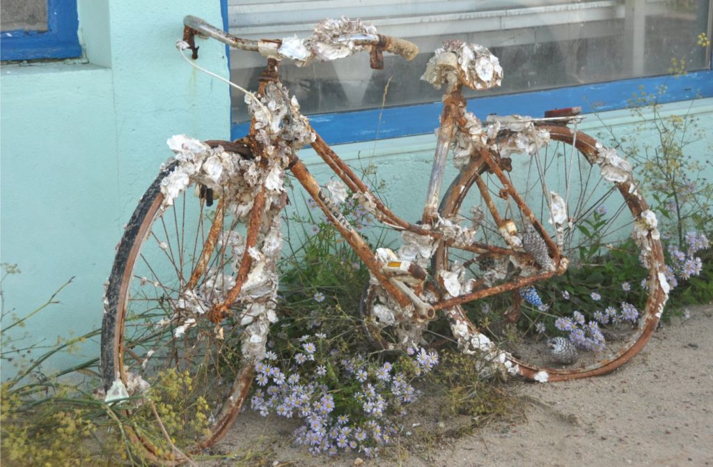 Île d'Oléron : le chenal de la Baudissière