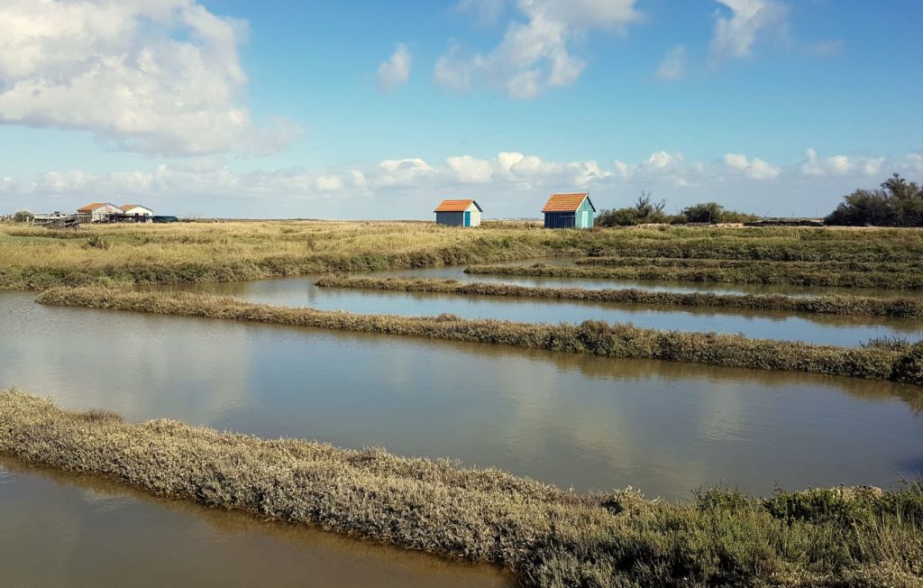Île d'Oléron : Fort Royer