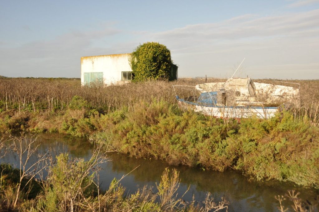 Île d'Oléron : les marais