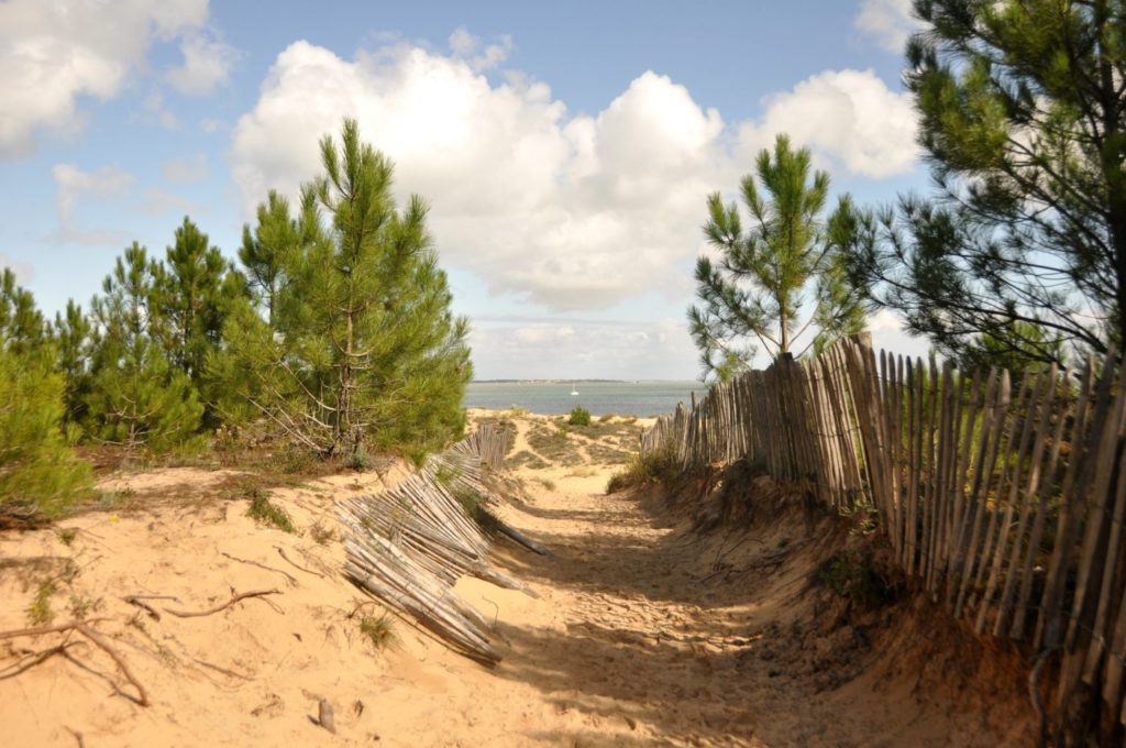 Île d'Oléron : plage de Boyardville