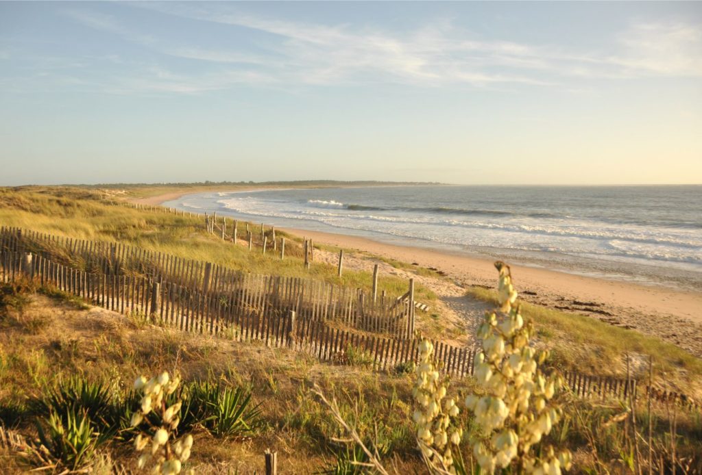 Île d'Oléron : plages