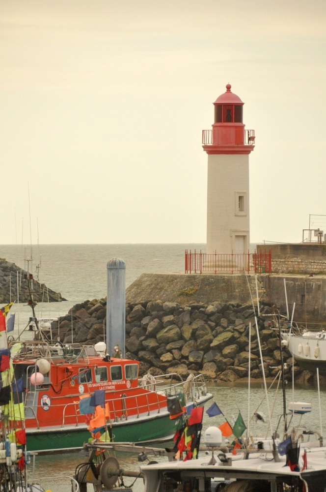 Île d'Oléron : port de la Cotinière