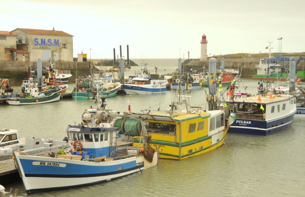 Île d'Oléron : port de la Cotinière