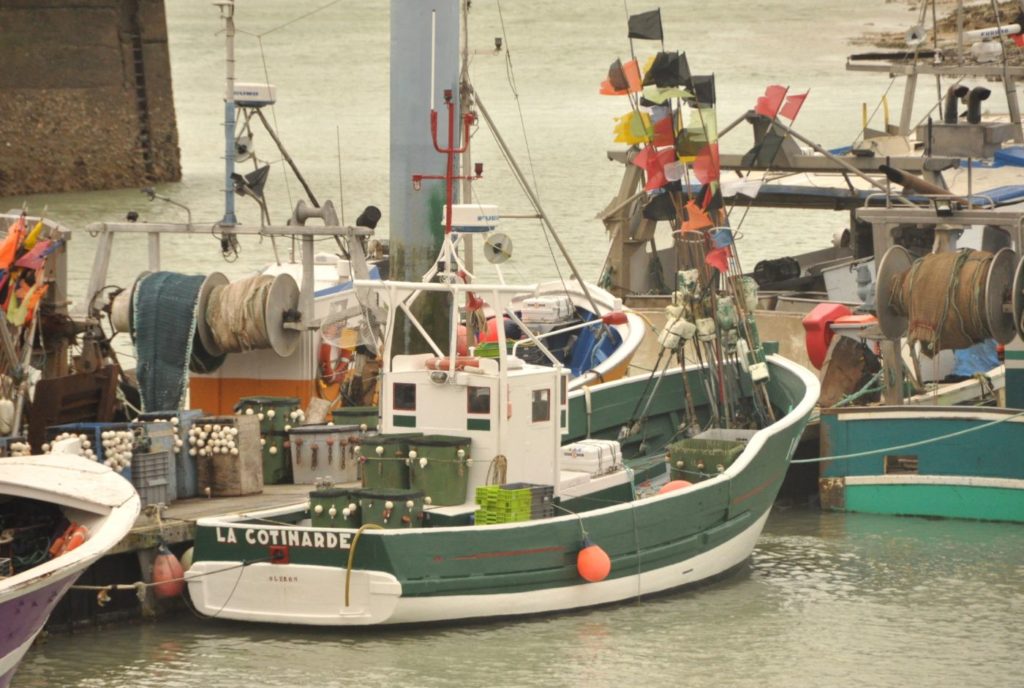 Île d'Oléron : port de la Cotinière