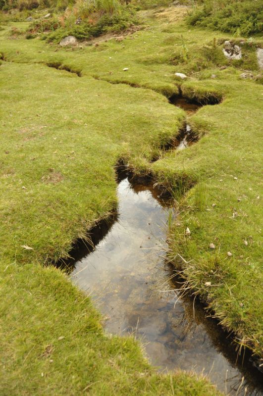 Plateau du Coscione (Corse) - Blog La Marinière en Voyage