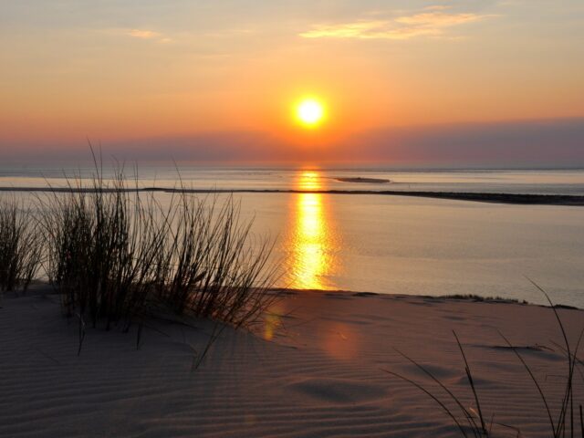 Coups de Cœur de la Marinière #10"
