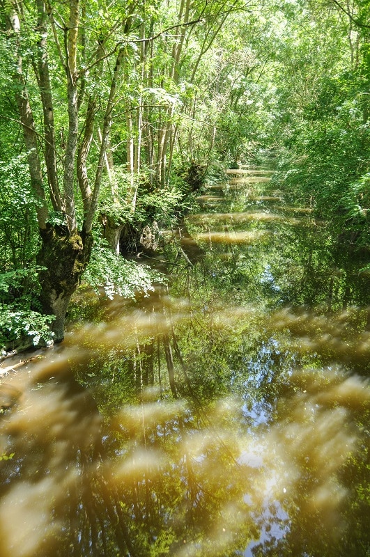 Balade dans le Marais poitevin - Blog La Marinière en Voyage