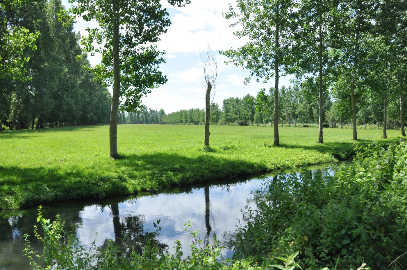 Balade dans le Marais poitevin - Blog La Marinière en Voyage