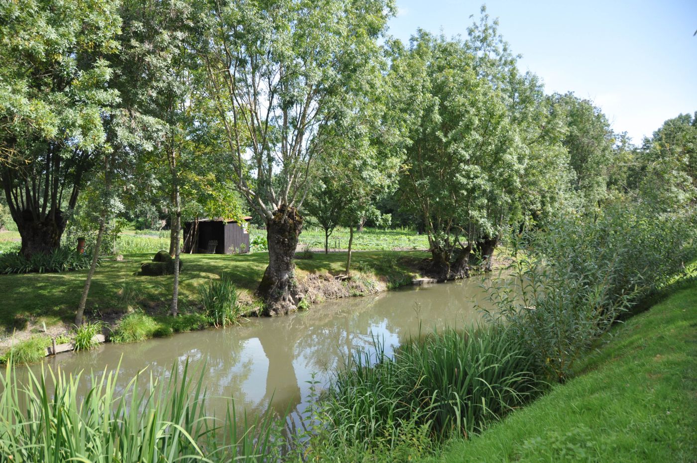 Balade dans le Marais poitevin - Blog La Marinière en Voyage
