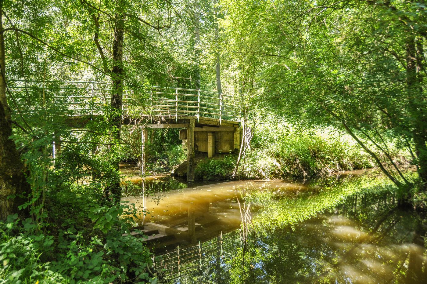 Balade dans le Marais poitevin - Blog La Marinière en Voyage