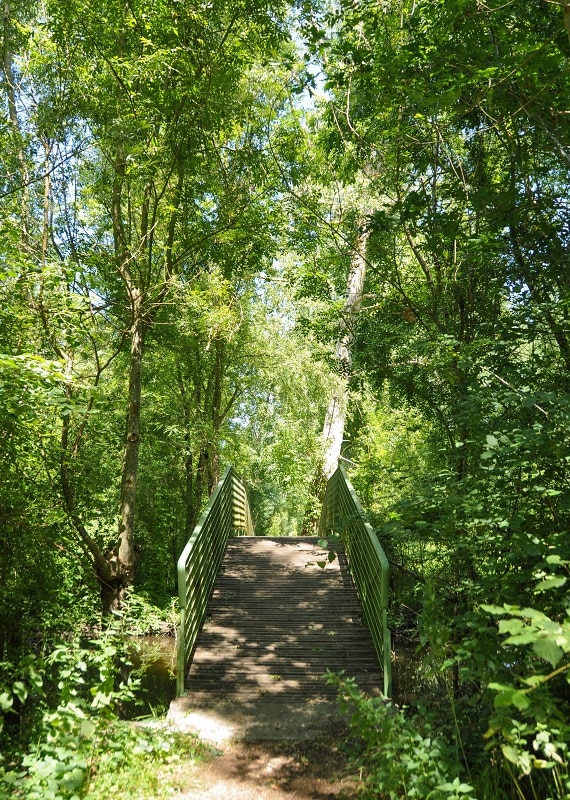 Balade dans le Marais poitevin - Blog La Marinière en Voyage