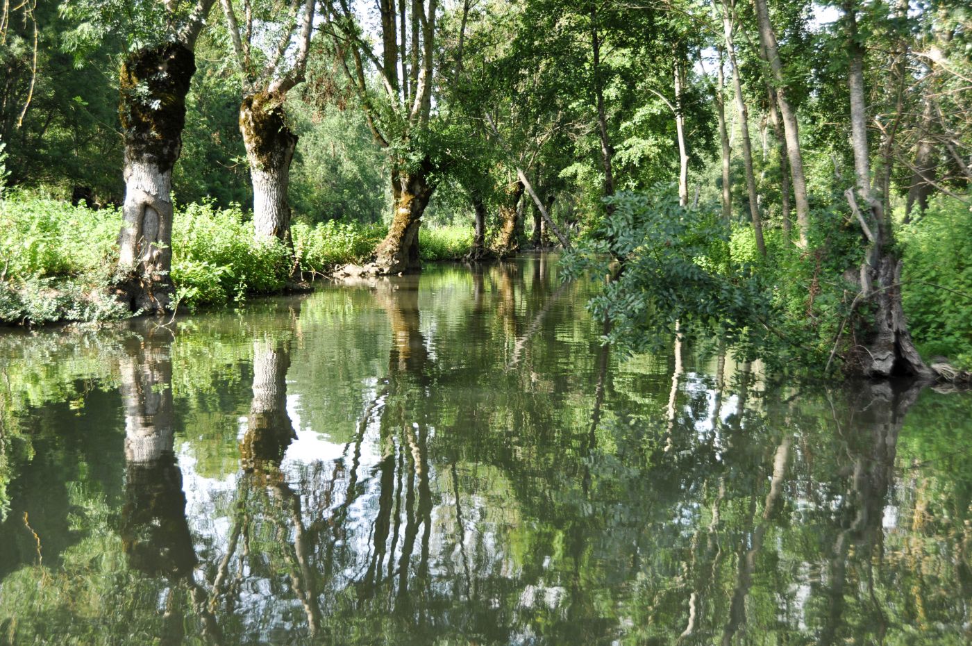 Barque du marais poitevin - Blog La Marinière en Voyage