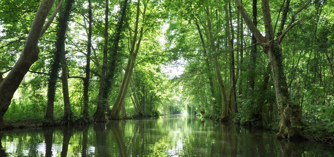 Barque du marais poitevin - Blog La Marinière en Voyage