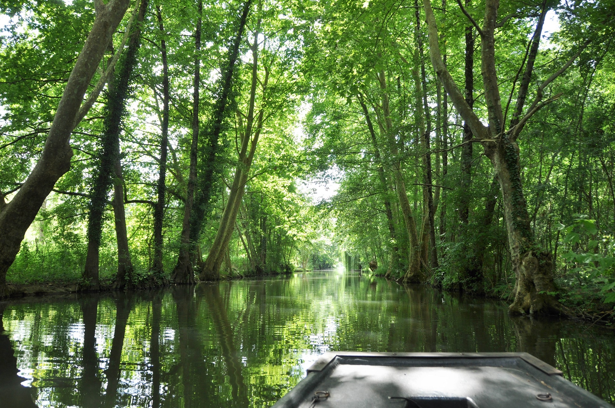 Visiter Le Marais Poitevin En 2 3 Jours Guide Complet La Marini re 