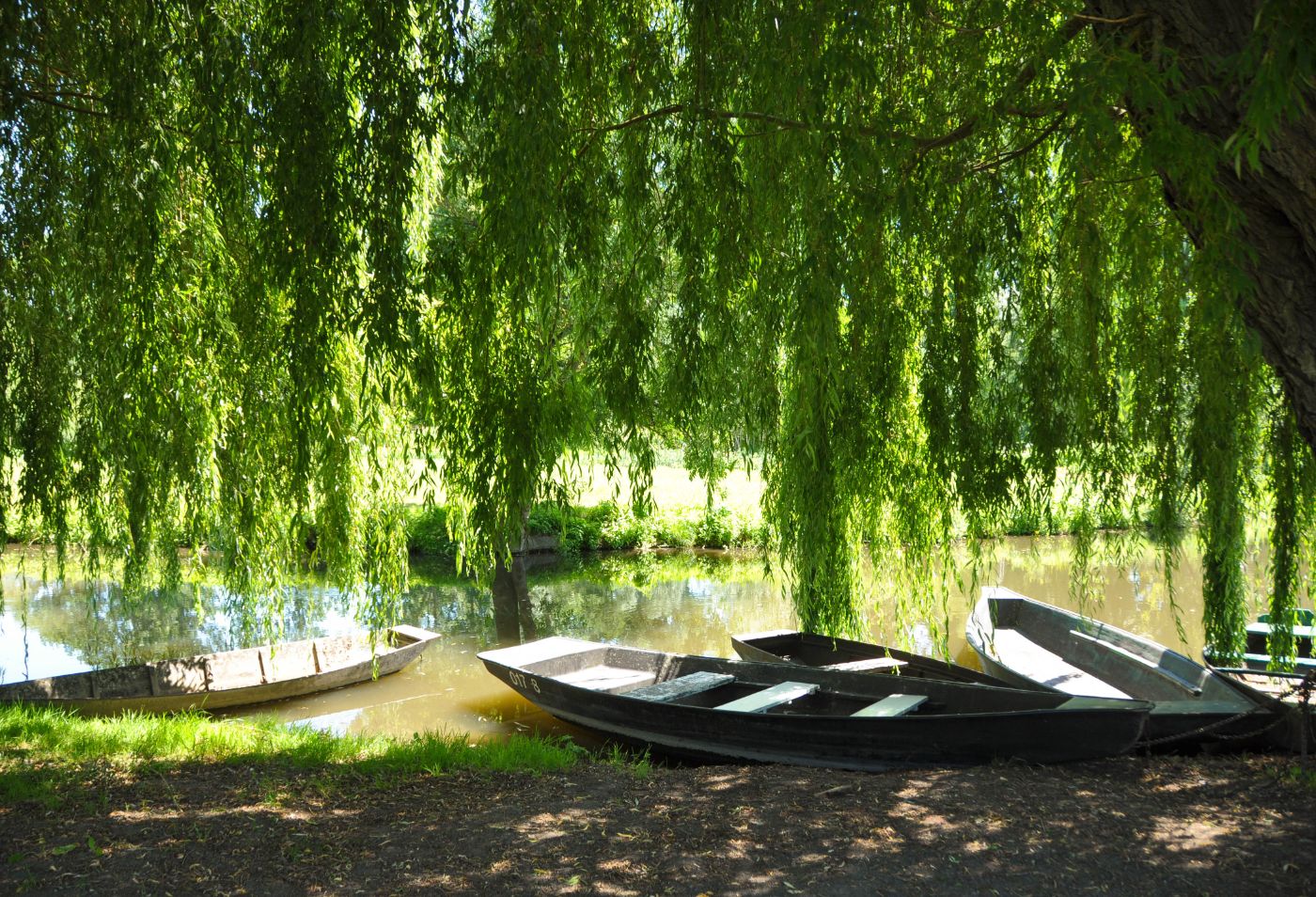 Barque du marais poitevin - Blog La Marinière en Voyage
