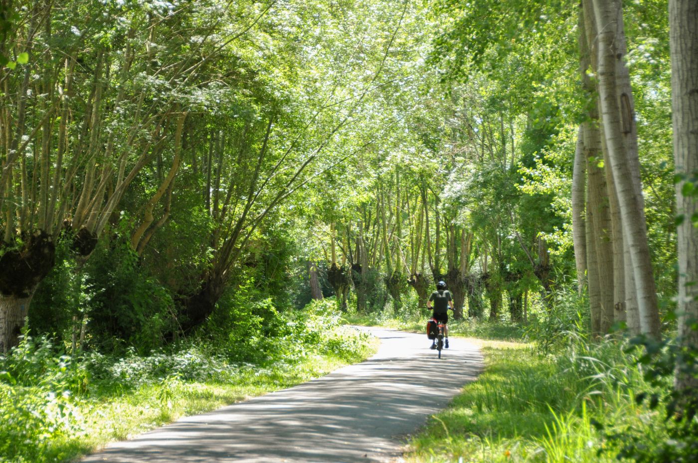 A vélo dans le Marais poitevin - Blog La Marinière en Voyage
