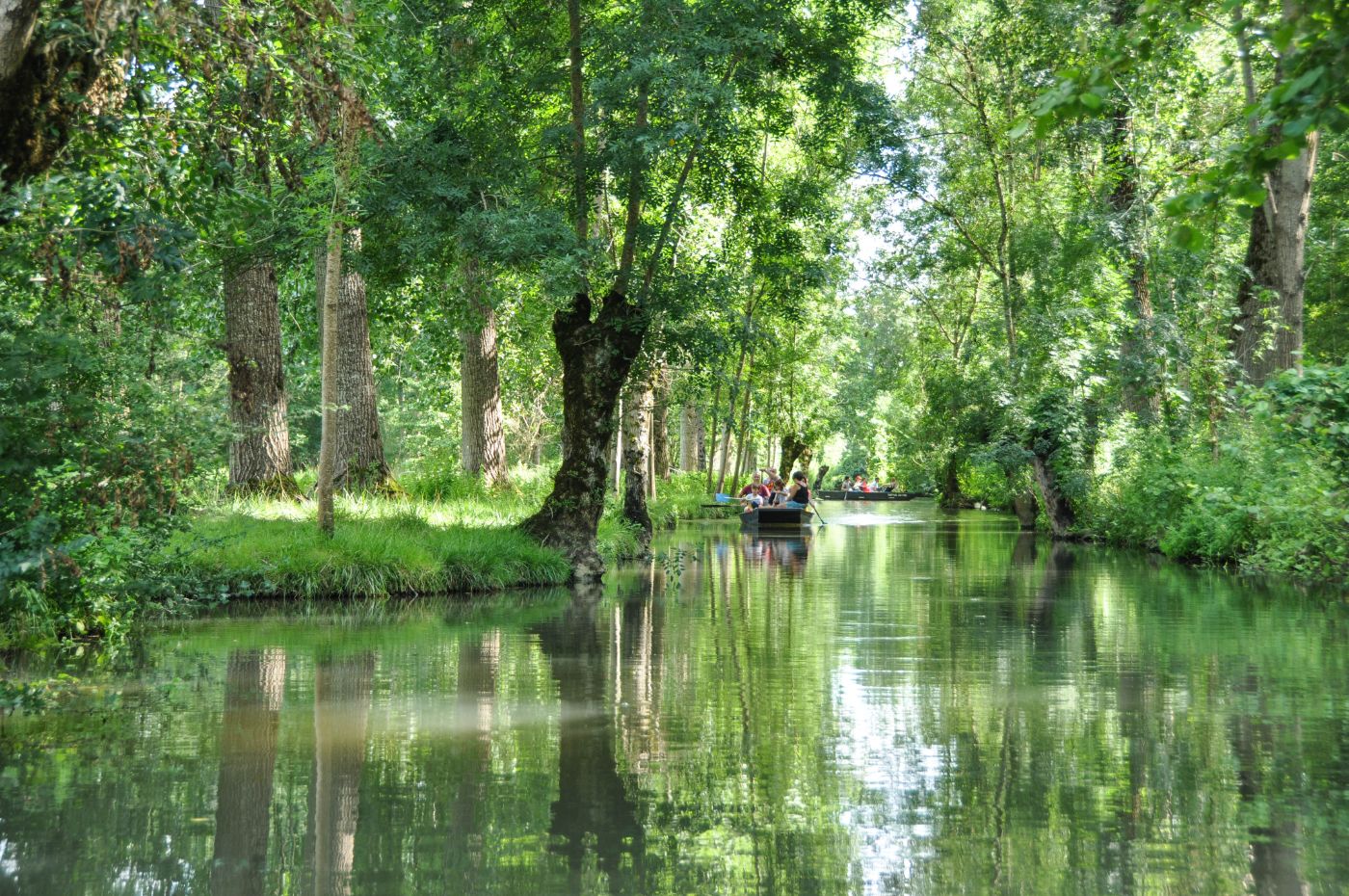 Balade dans le Marais poitevin - Blog La Marinière en Voyage